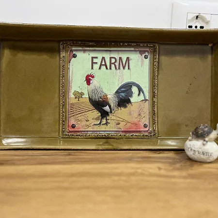 Kemping Lucky Turtle House Dais-Barbas