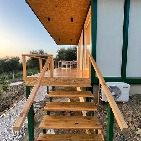 Lucky Turtle House Kemping Dais-Barbas