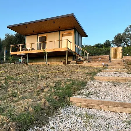 Lucky Turtle House *